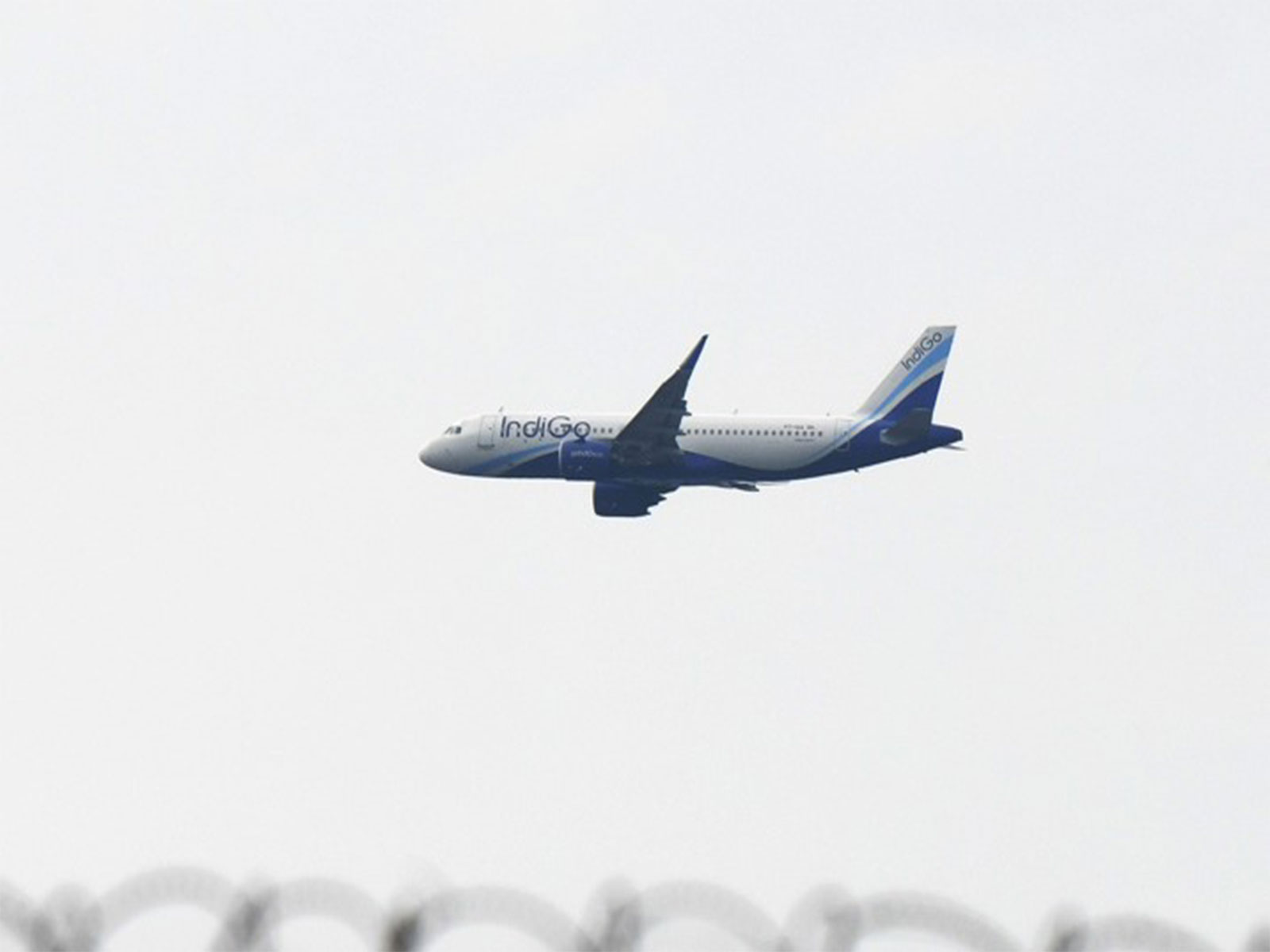 An Indigo flight (File Photo/ANI) An Indigo flight (File Photo/ANI)