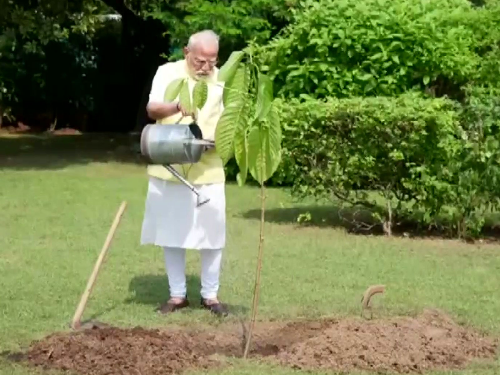 PM Modi plants Kadamb sapling gifted by King Charles (Photo/ANI)