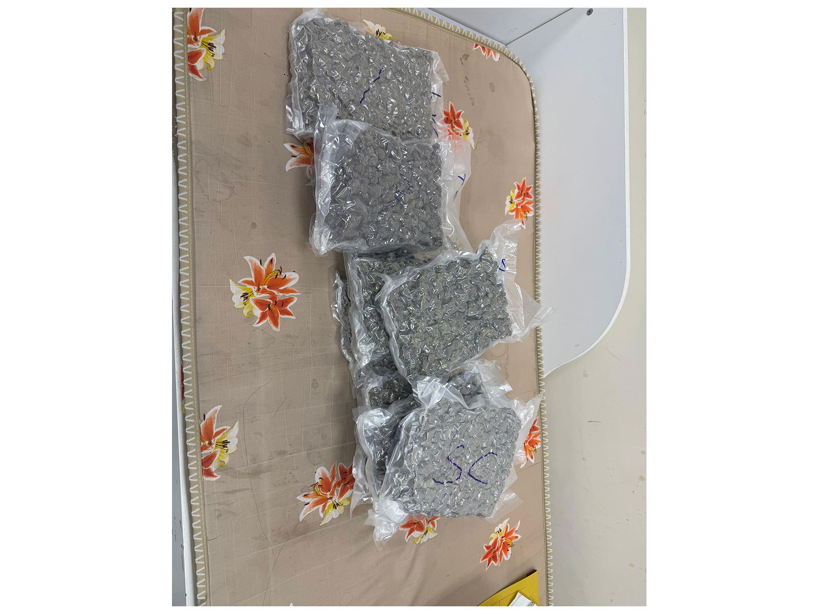 Visuals of the seized substances (Photo/DRI) Visuals of the seized substances (Photo/DRI)