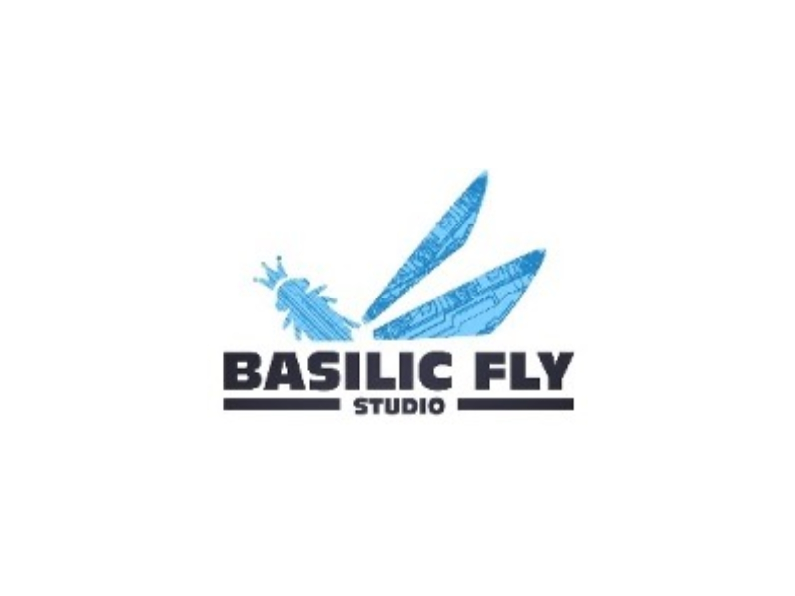 Basilic Fly Studio Raises INR 85 Crore Through QIP to Fuel Global Expansion Basilic Fly Studio Raises INR 85 Crore Through QIP to Fuel Global Expansion