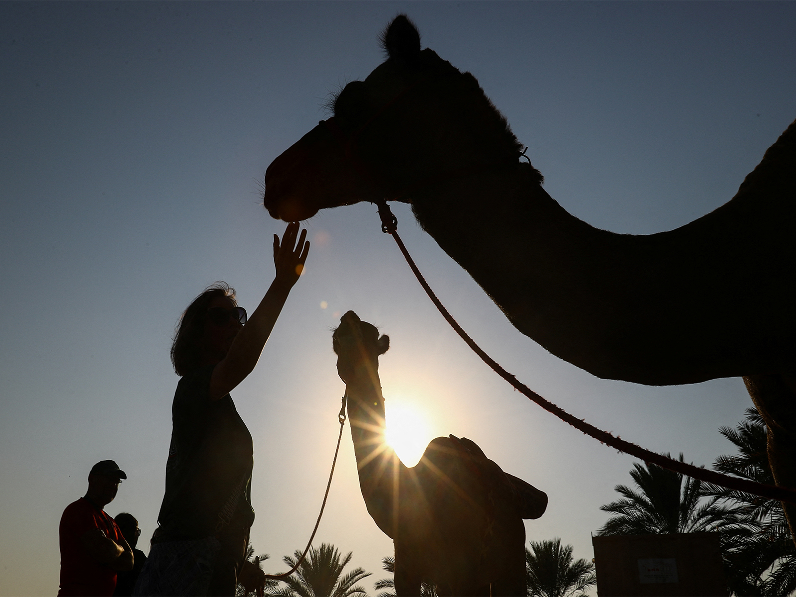 Representative Image (Photo/Reuters) Representative Image (Photo/Reuters)