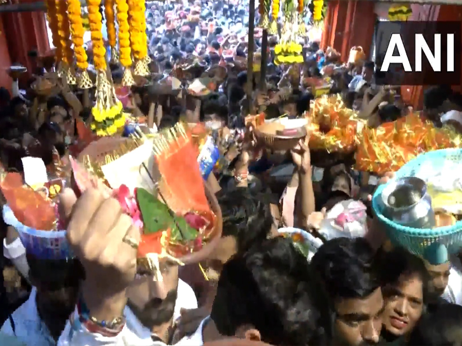 Kali Mata Temple in Moradabad witnesses devotees' huge gathering on Sharadiya Navratri (Photo/ANI) Kali Mata Temple in Moradabad witnesses devotees' huge gathering on Sharadiya Navratri (Photo/ANI)
