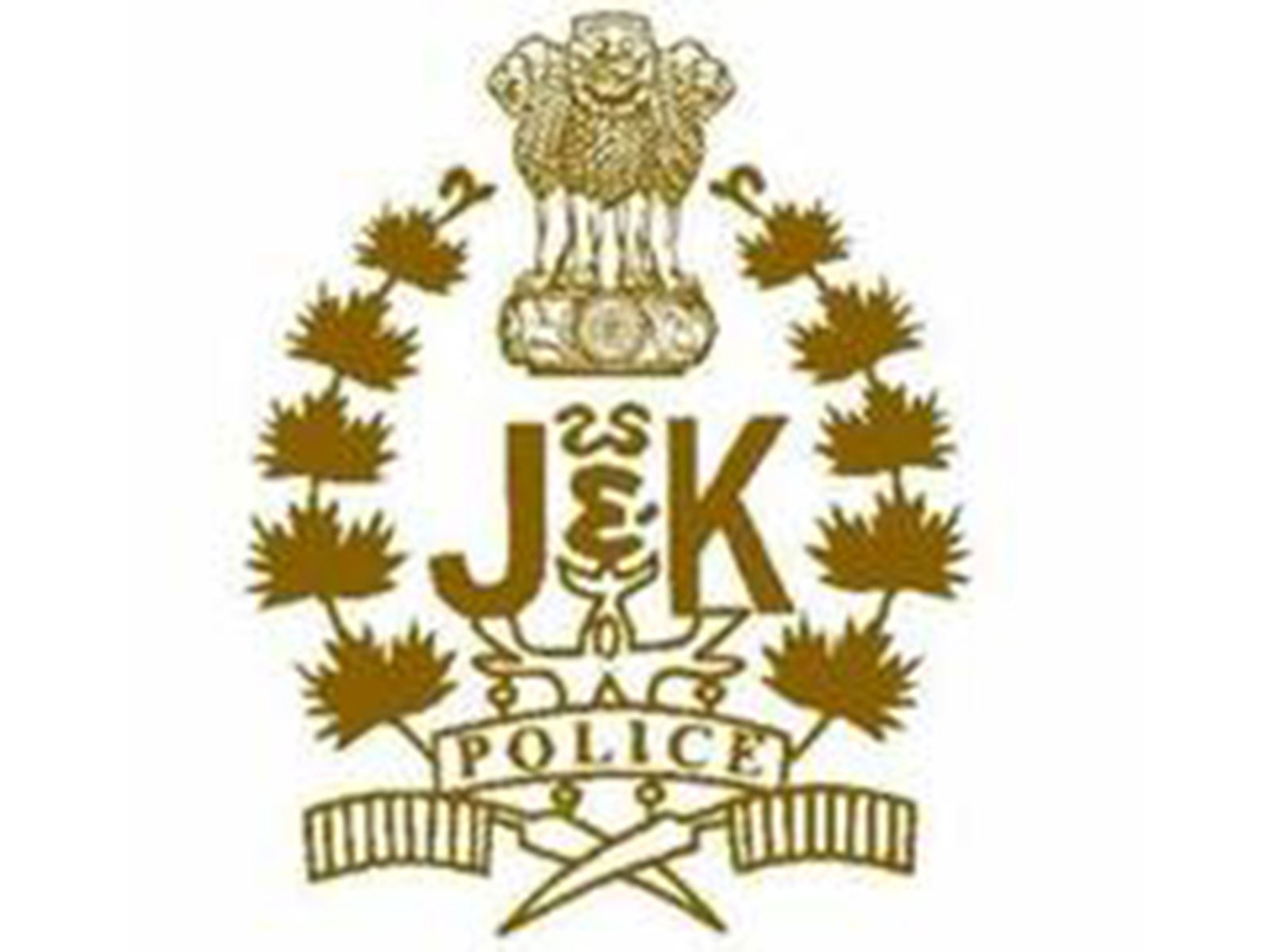 Representative Image (Photo/ Jammu and Kashmir Police) Representative Image (Photo/ Jammu and Kashmir Police)