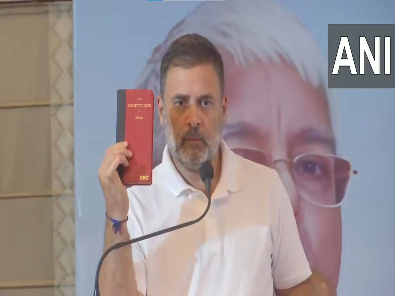 Congress MP Rahul Gandhi (Photo/ANI) Congress MP Rahul Gandhi (Photo/ANI)