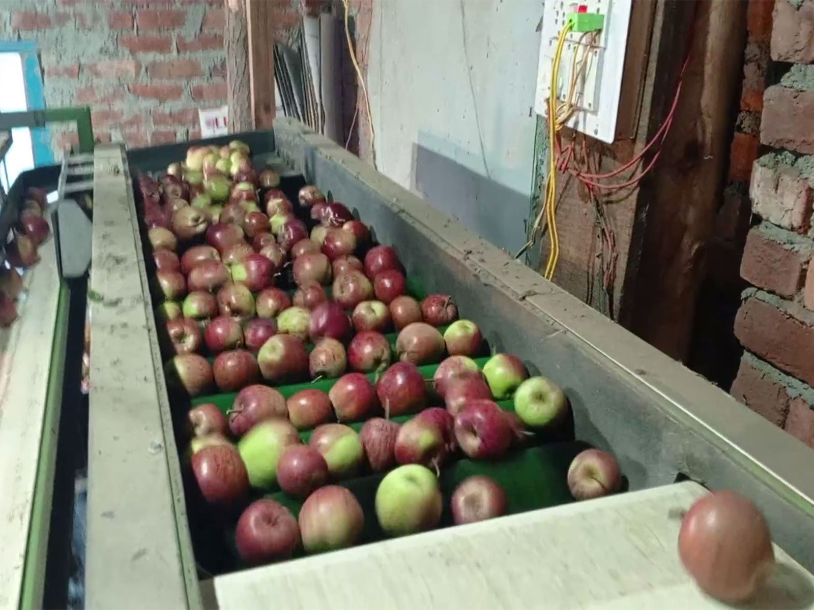 Visuals of the factory, where apples are processed (Photo/ANI)  Visuals of the factory, where apples are processed (Photo/ANI)