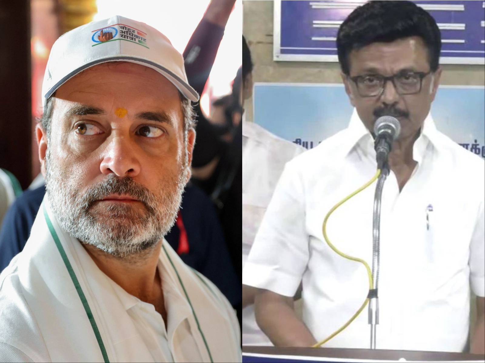 Congress leader Rahul Ganghi and Tamil Nadu CM MK Stalin (File Photos/ANI) Congress leader Rahul Ganghi and Tamil Nadu CM MK Stalin (File Photos/ANI)
