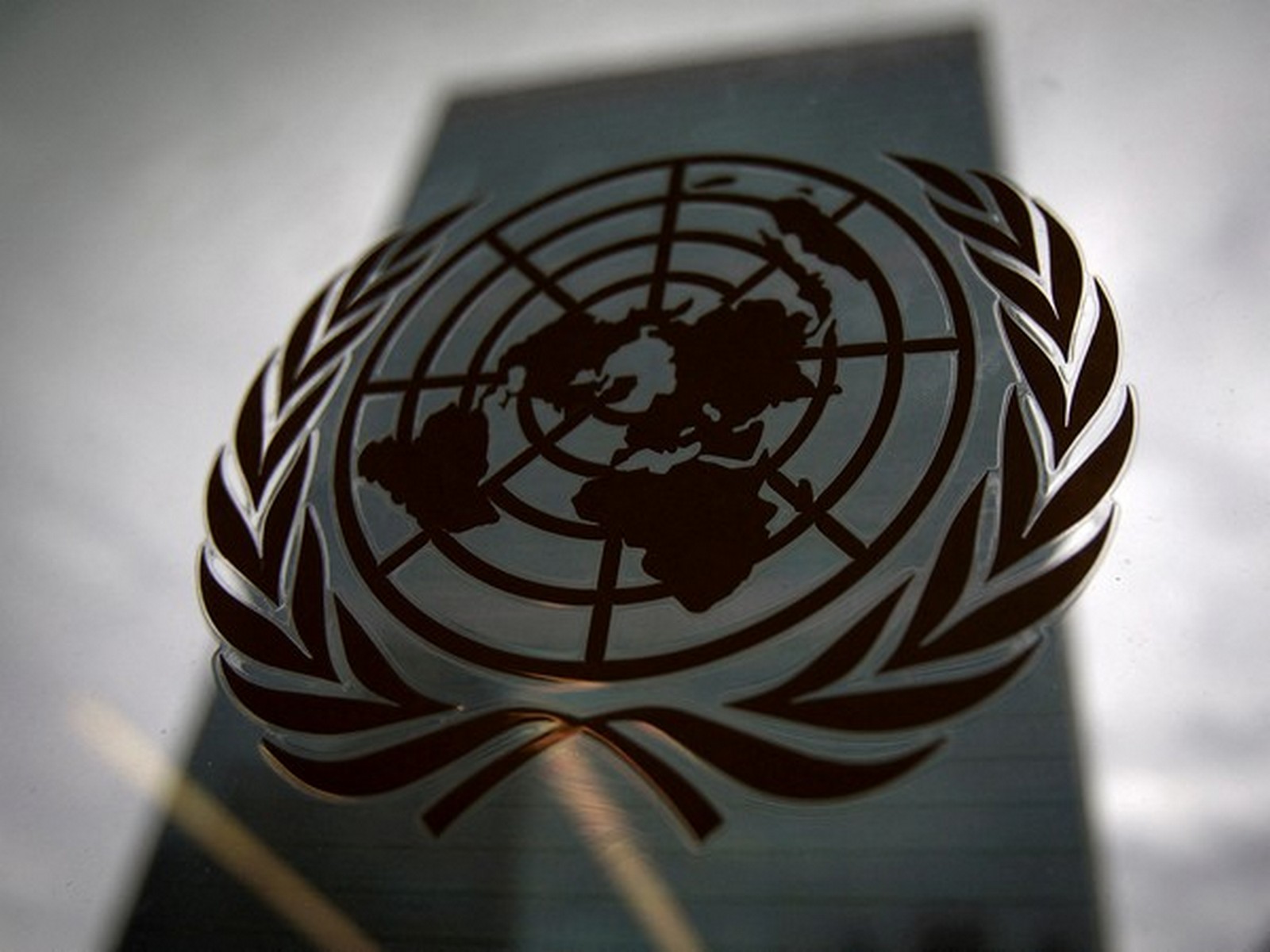 Logo of the United Nations (File Photo/Reuters) Logo of the United Nations (File Photo/Reuters)