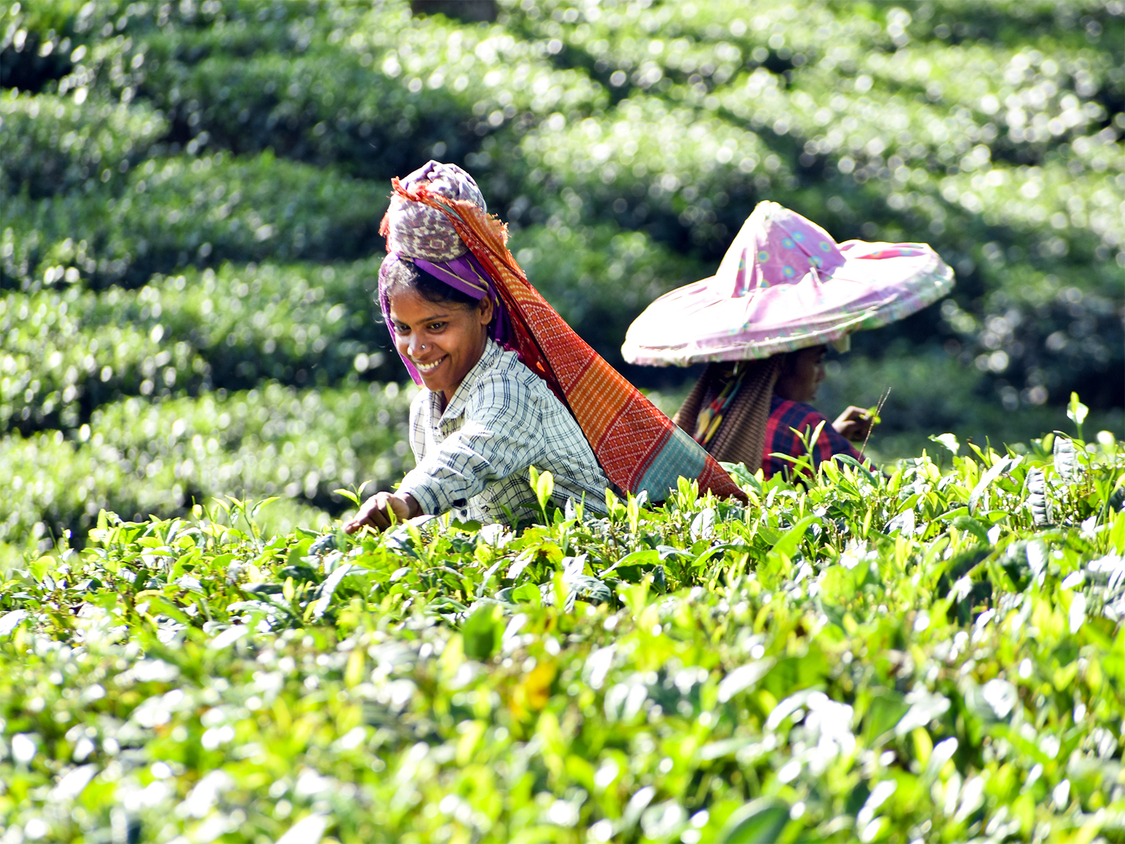 Representative Image (Photo/ANI) Representative Image (Photo/ANI)