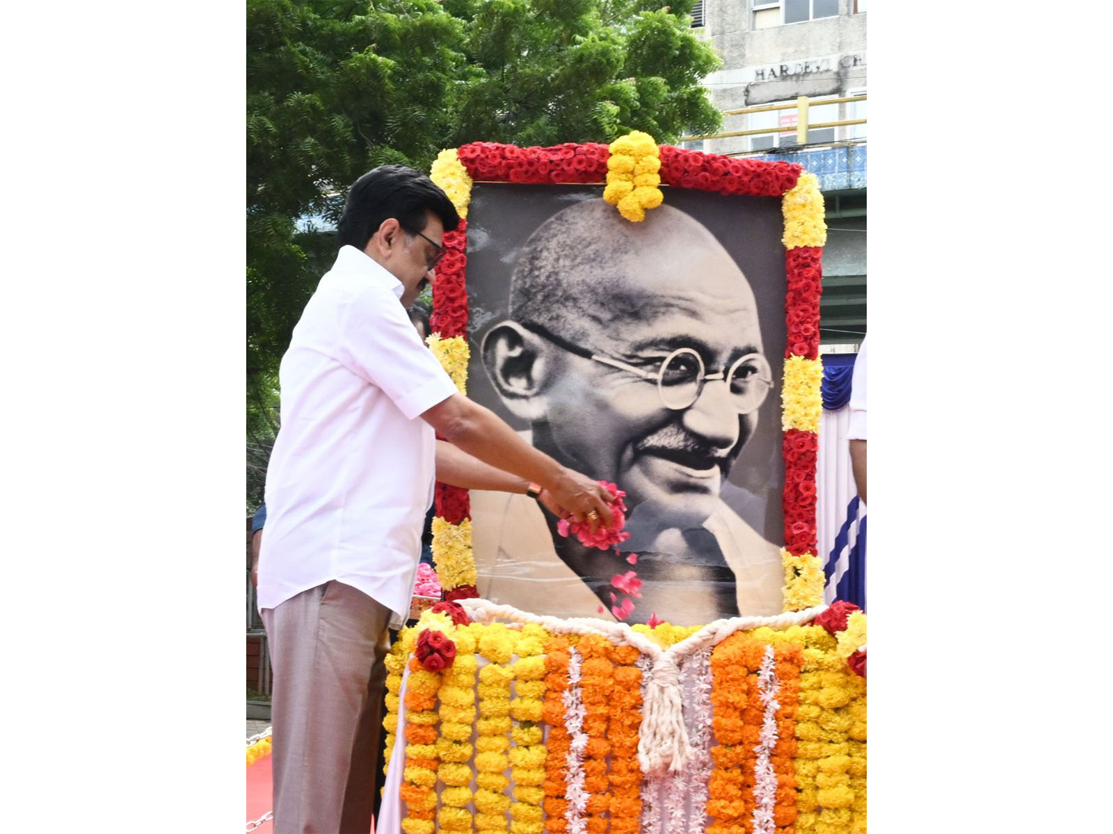 Tamil Nadu CM Stalin pays tributes to Mahatma Gandhi (Photo/X@mkstalin) Tamil Nadu CM Stalin pays tributes to Mahatma Gandhi (Photo/X@mkstalin)