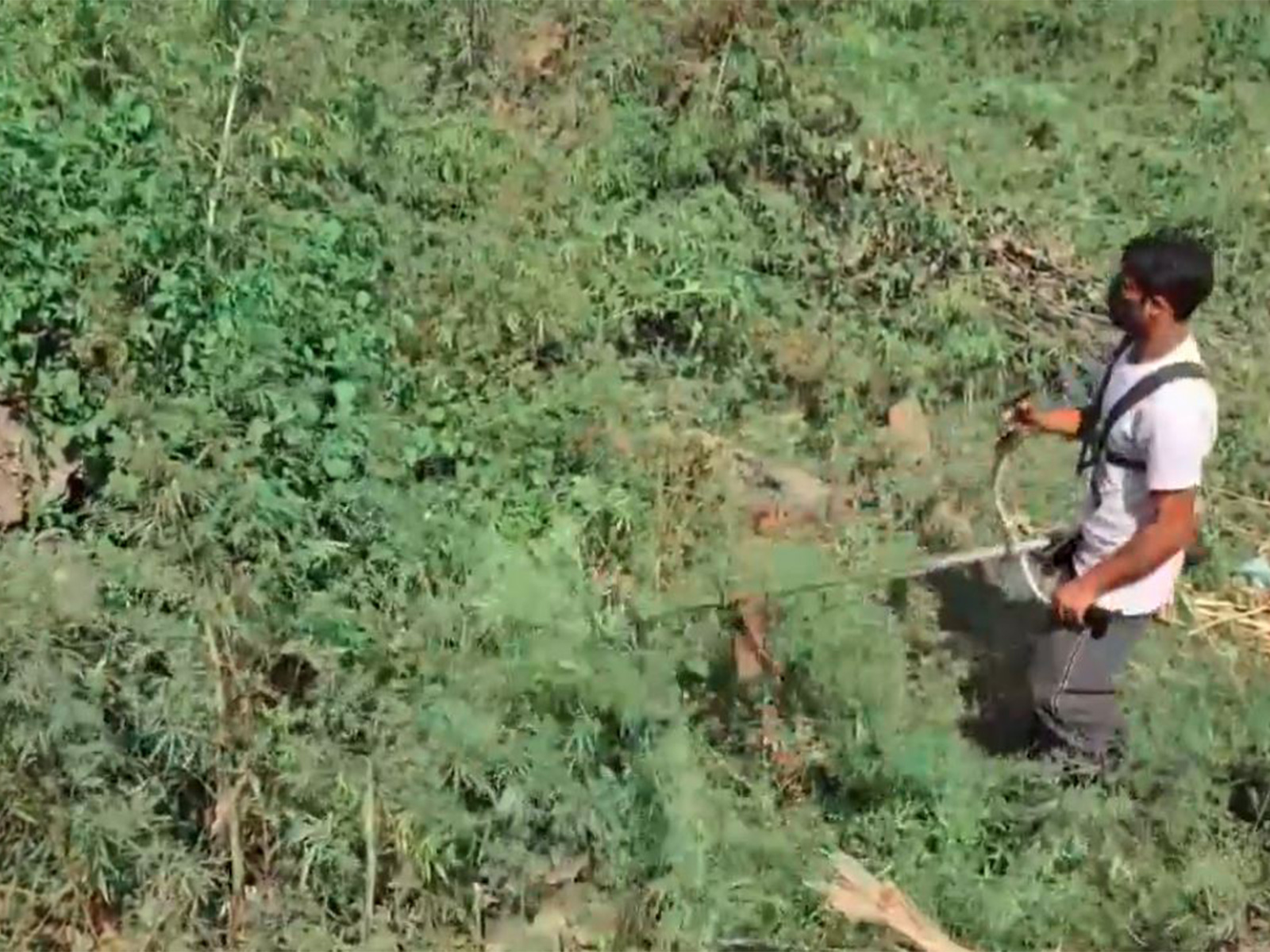 J-K Police, Excise Department launch anti-narcotics drive in South Kashmir (Photo/ANI) J-K Police, Excise Department launch anti-narcotics drive in South Kashmir (Photo/ANI)