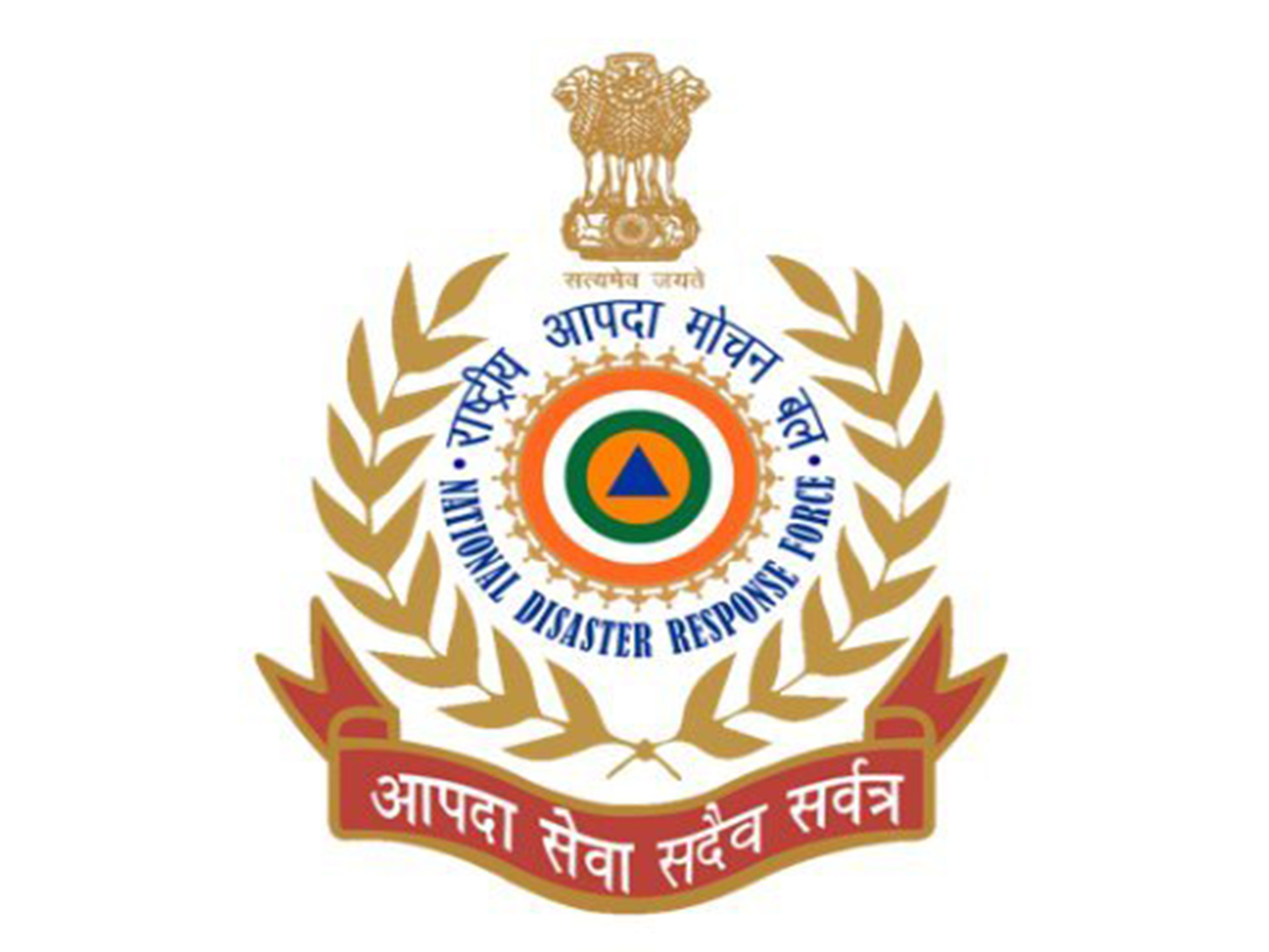 Official logo of NDRF (Photo/X) Official logo of NDRF (Photo/X)