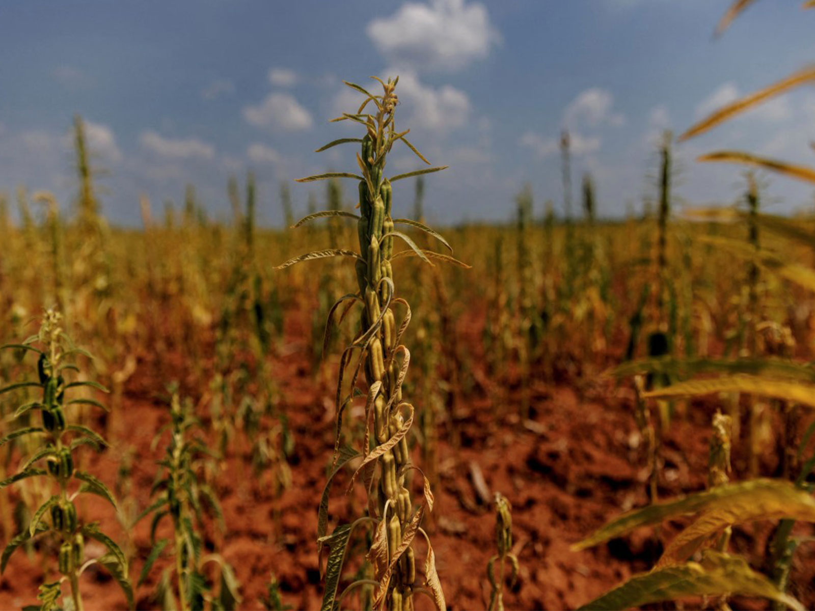 Representative Image (Photo/Reuters) Representative Image (Photo/Reuters)