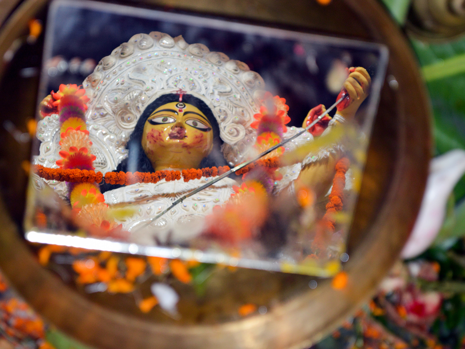Representational Image (Photo/ANI) Representational Image (Photo/ANI)