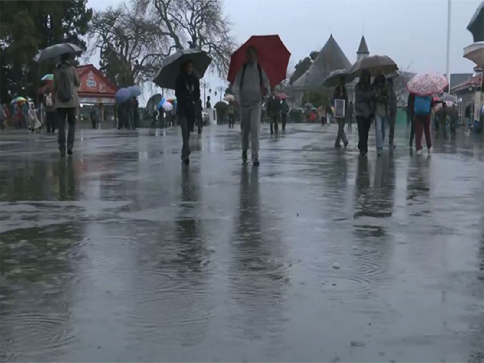 Rain lashes Shimla, tourists share mixed reactions to sudden weather change (Photo/ANI) Rain lashes Shimla, tourists share mixed reactions to sudden weather change (Photo/ANI)