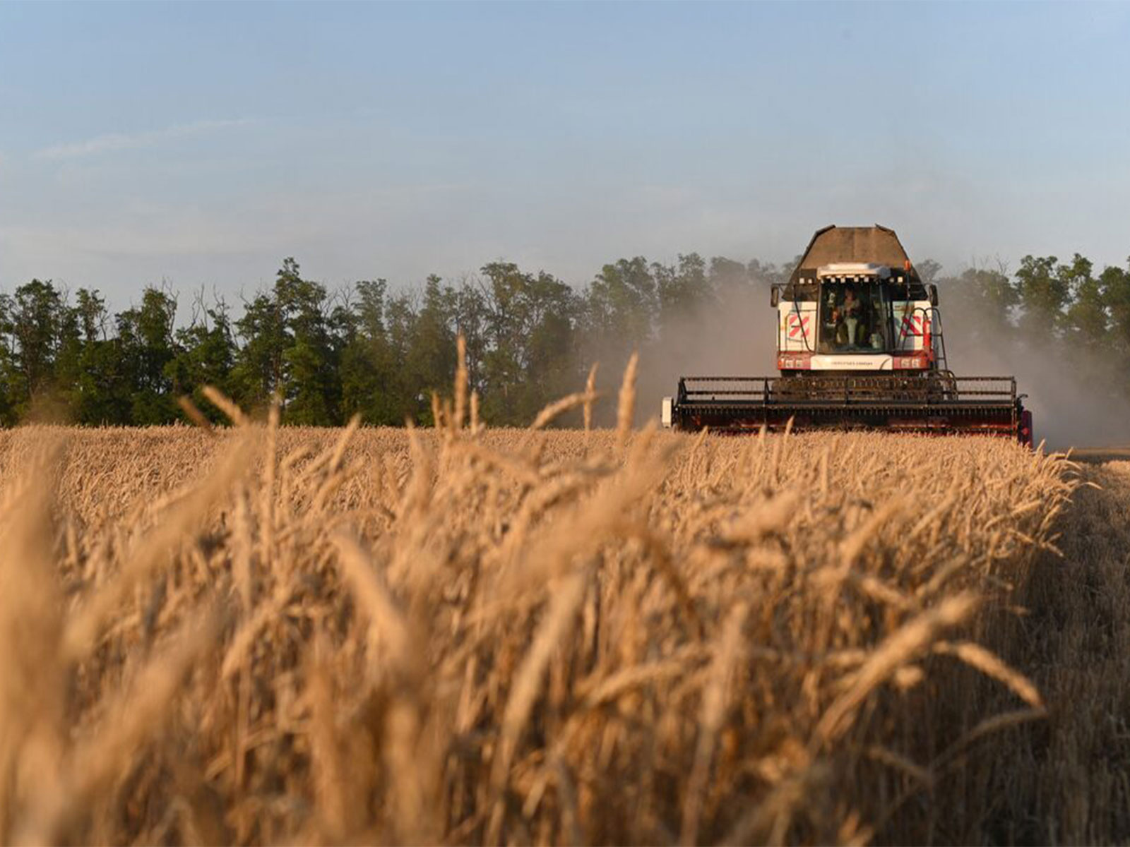 Representative Image (Photo/Reuters) Representative Image (Photo/Reuters)
