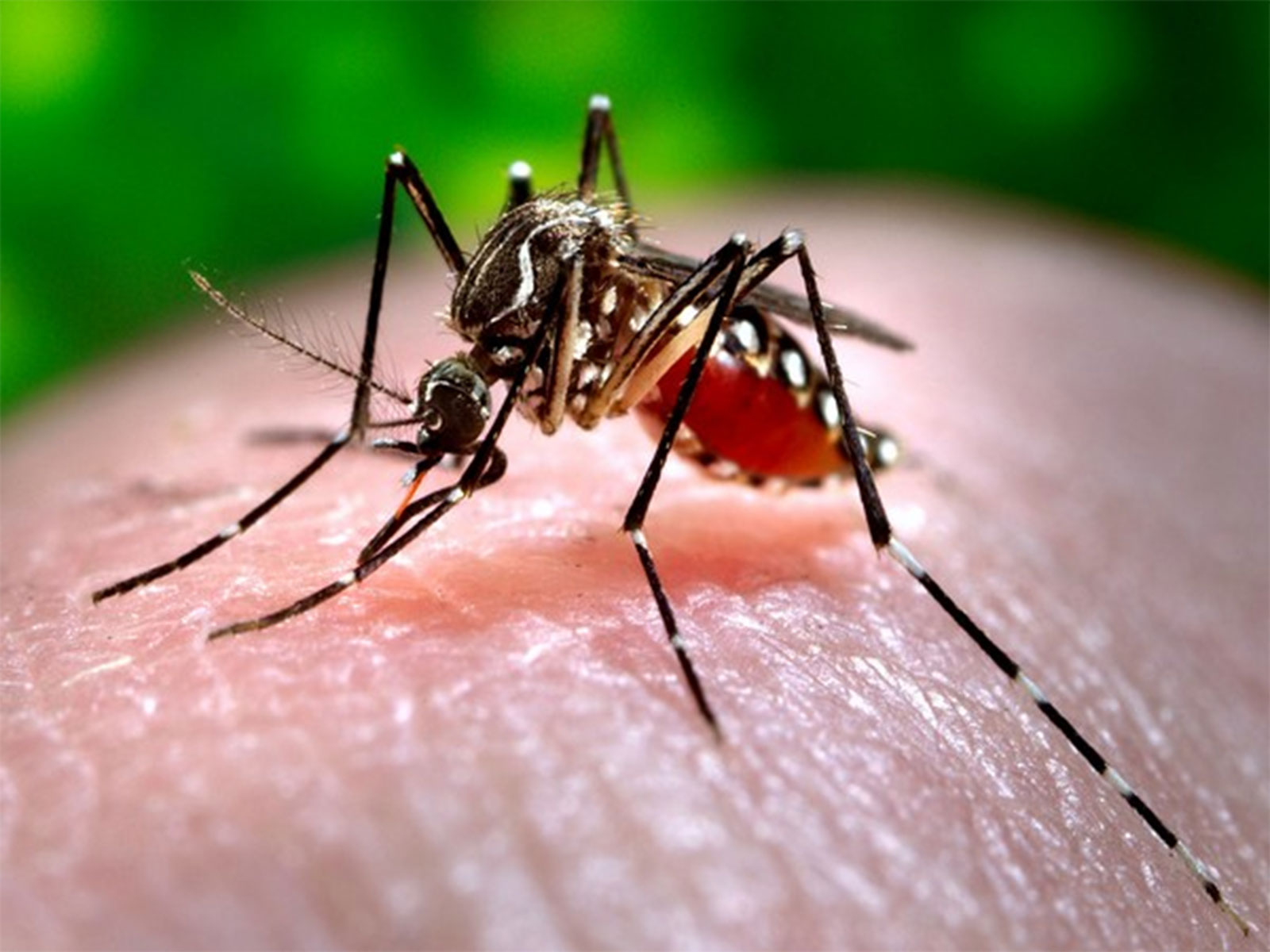 Representative Image (Photo/ Reuters) Representative Image (Photo/ Reuters)