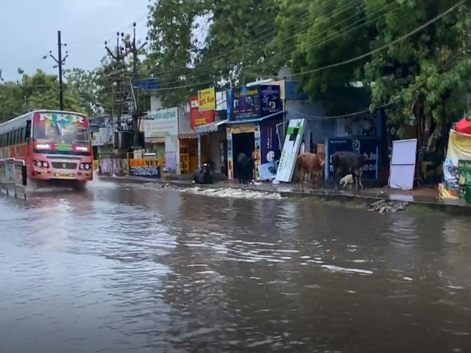 Visuals of Heavy rain from Thoothukudi in Tamil Nadu. (Photo/ANI) Visuals of Heavy rain from Thoothukudi in Tamil Nadu. (Photo/ANI)