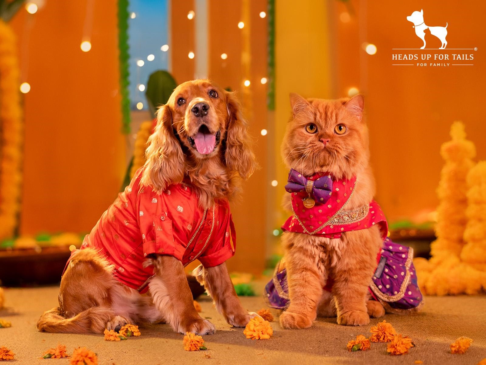HUFT Launches ‘Dil Se Desi’ — A Festive Collection That Celebrates Pets as Family HUFT Launches ‘Dil Se Desi’ — A Festive Collection That Celebrates Pets as Family