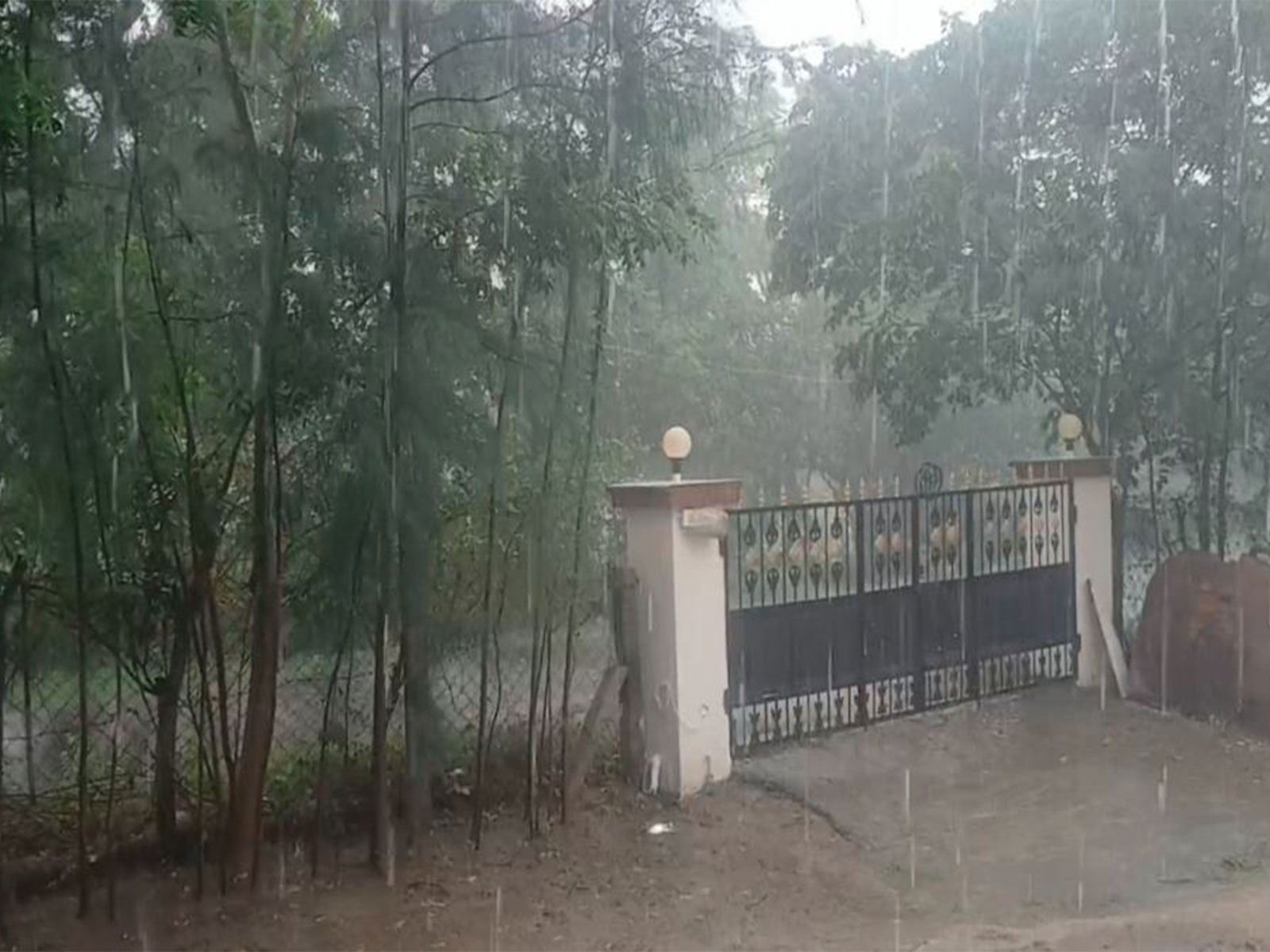 Heavy rain lashes several parts of Tamil Nadu. (Photo/ANI) Heavy rain lashes several parts of Tamil Nadu. (Photo/ANI)