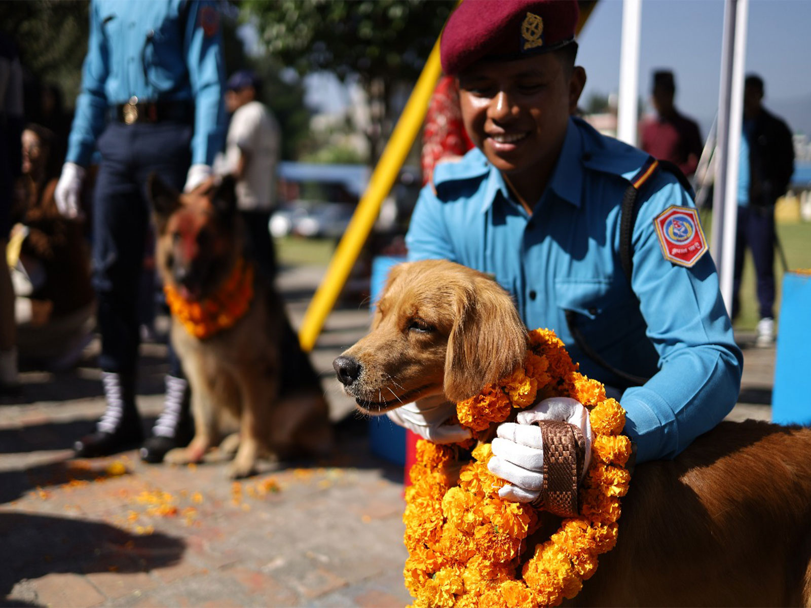 Nepal celebrates Kukur Tihar festival (Photo/ANI) Nepal celebrates Kukur Tihar festival (Photo/ANI)