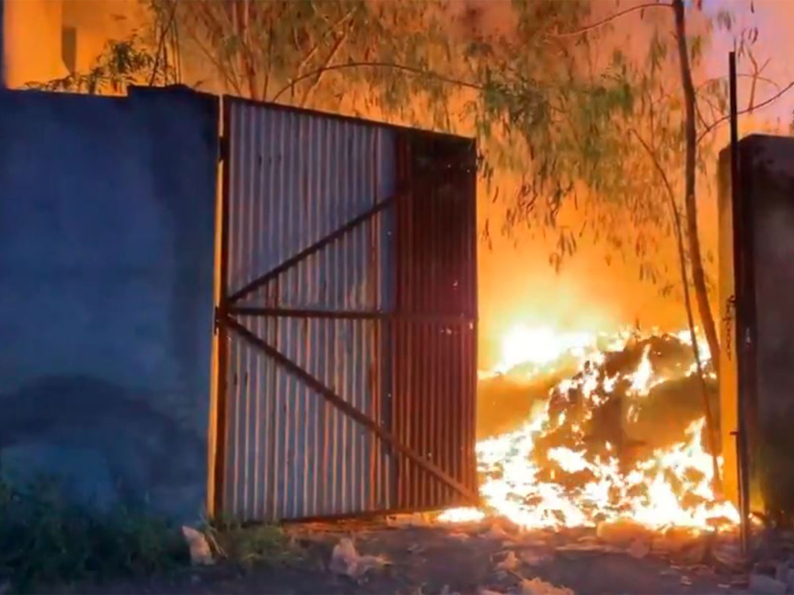 Fire breaks out at recycling material storage godown in Haryana's Ambala (Photo/ANI) Fire breaks out at recycling material storage godown in Haryana's Ambala (Photo/ANI)