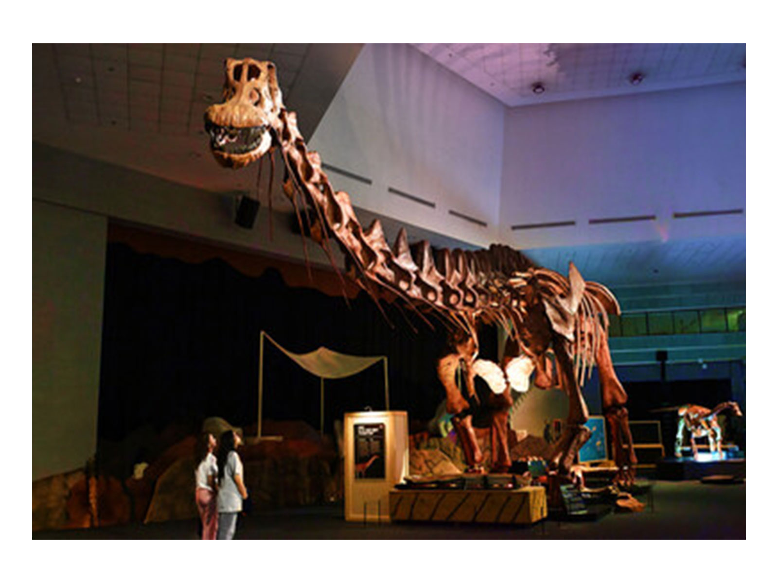 Singapore's Ultimate Prehistoric Adventure Begins at Science Centre Singapore Singapore's Ultimate Prehistoric Adventure Begins at Science Centre Singapore