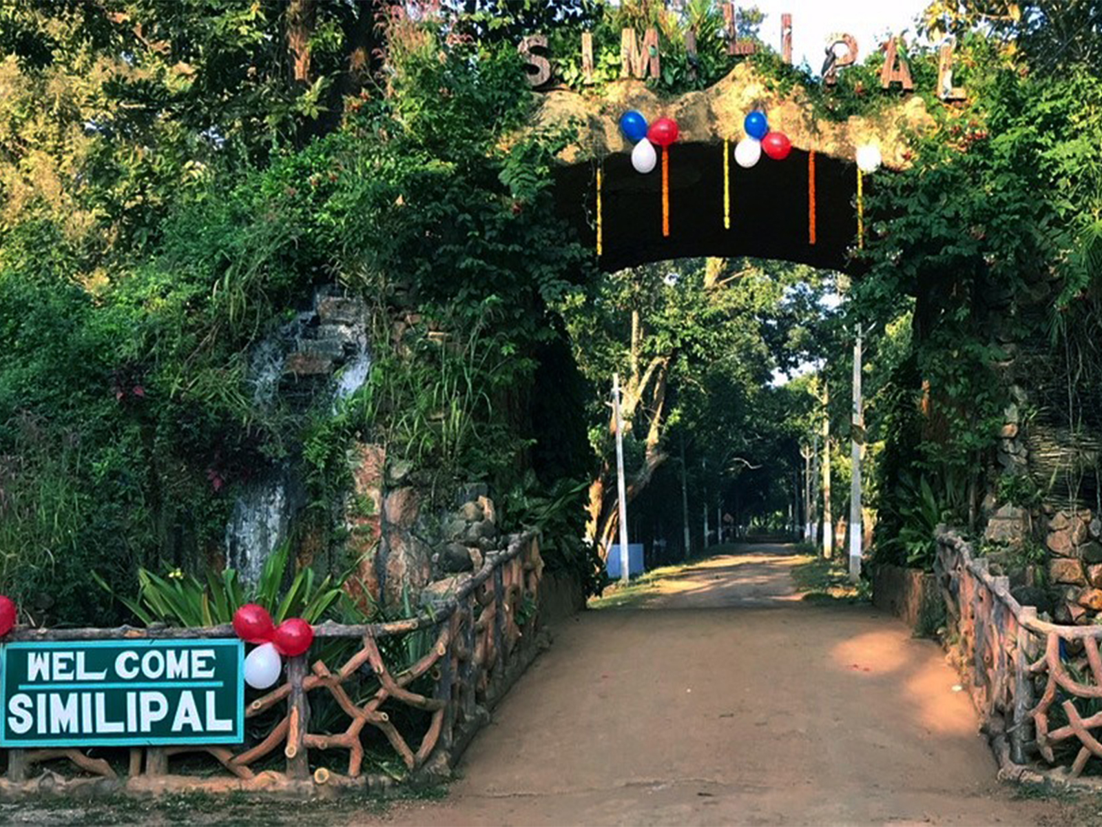 Similipal National Park (File Photo/Similipal Tiger Reserve Website) Similipal National Park (File Photo/Similipal Tiger Reserve Website)