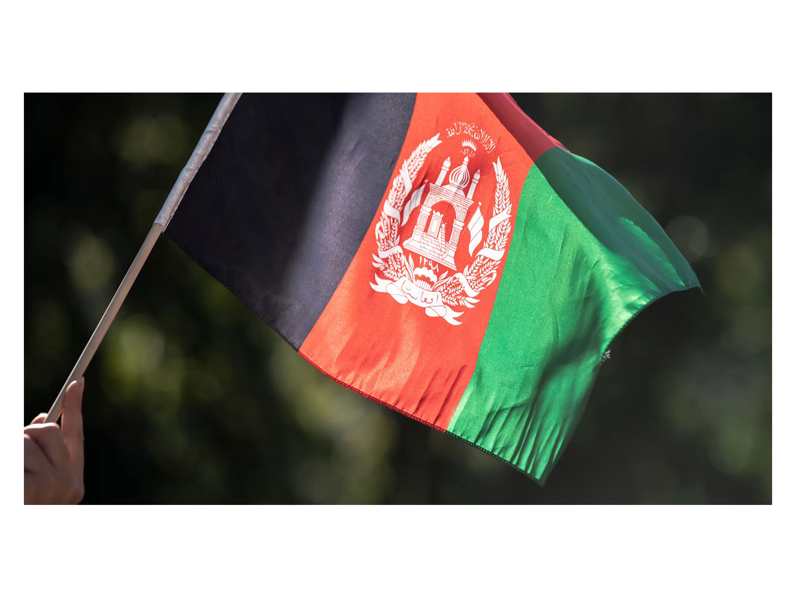 Representative Image (Photo/Reuters)  Representative Image (Photo/Reuters)