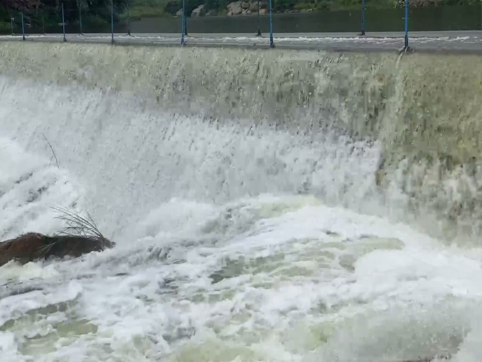 Visual of water flowing from Palar dam in Tamil Nadu (Photo: ANI) Visual of water flowing from Palar dam in Tamil Nadu (Photo: ANI)