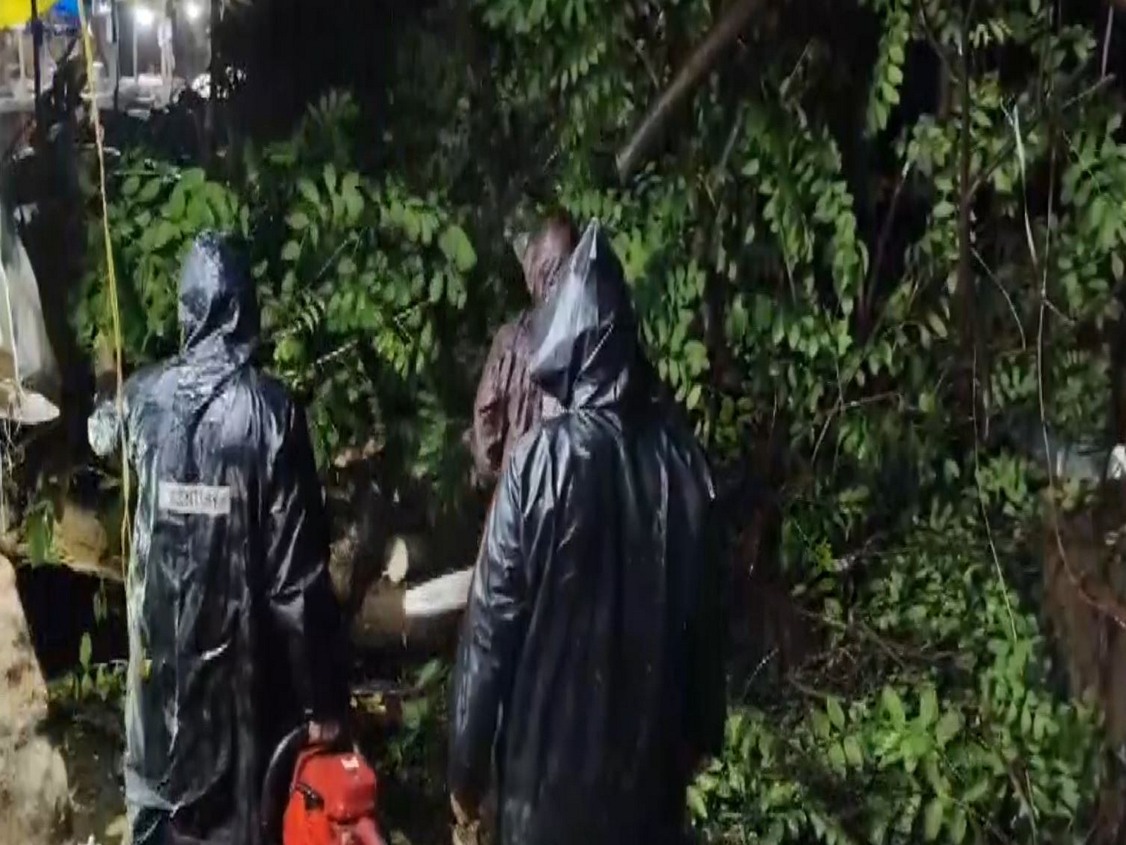 Police teams clear a fallen tree in Guntur (Photo/ANI) Police teams clear a fallen tree in Guntur (Photo/ANI)