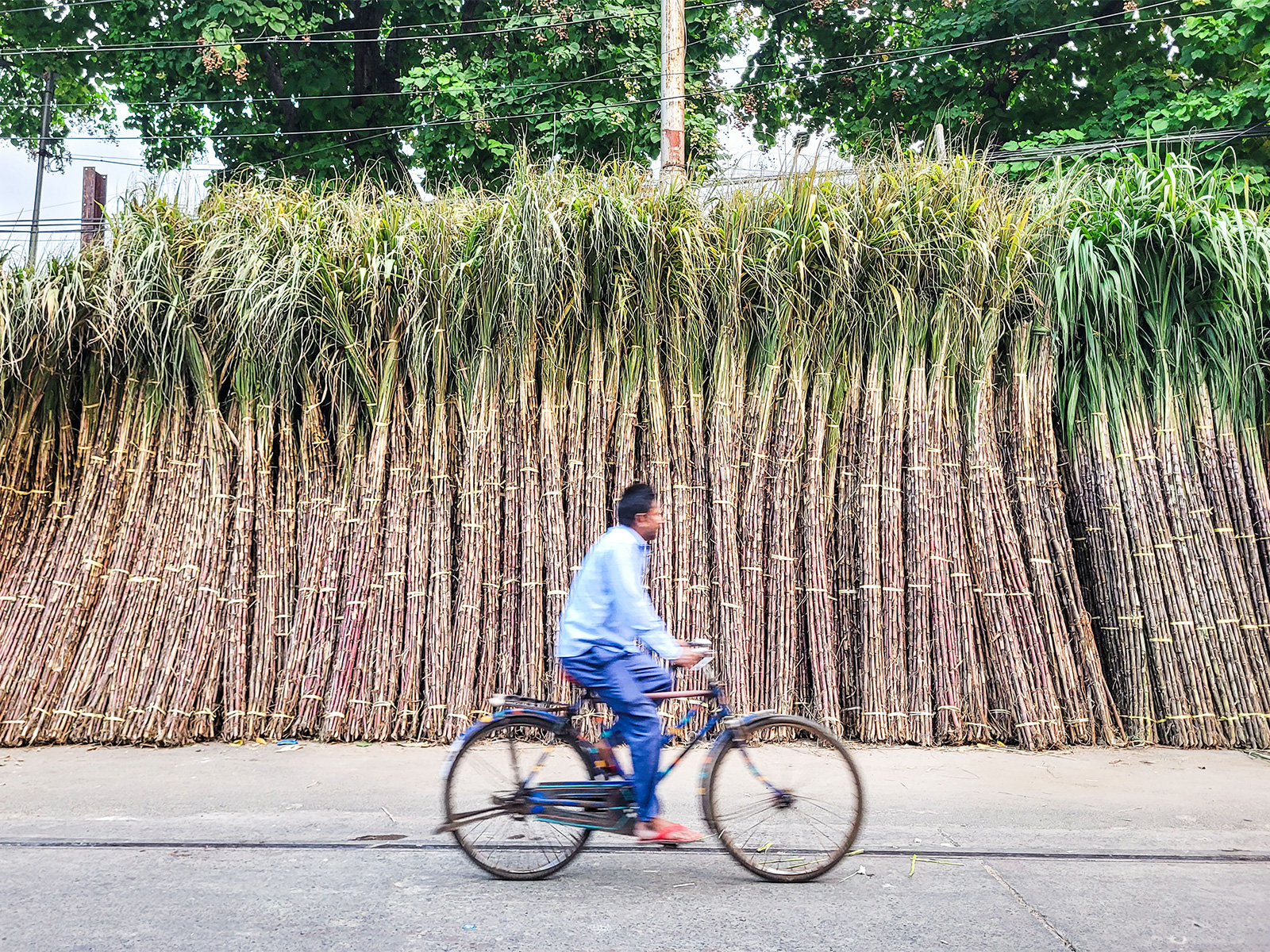 Representative Image (File Photo/ANI) Representative Image (File Photo/ANI)