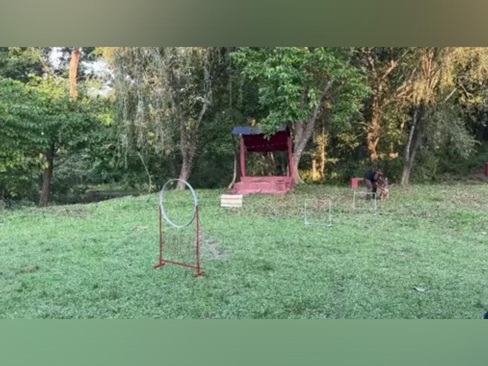 Visuals from the workshop (Photo/ANI) Visuals from the workshop (Photo/ANI)