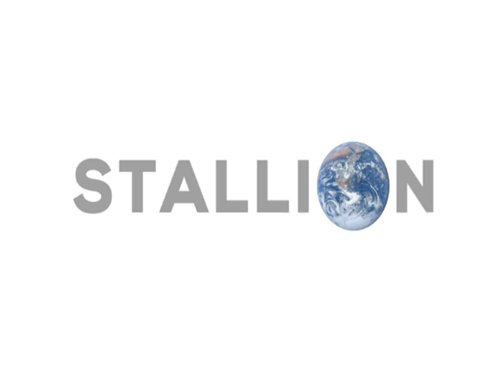 Stallion India Fluorochemicals Limited Stallion India Fluorochemicals Limited