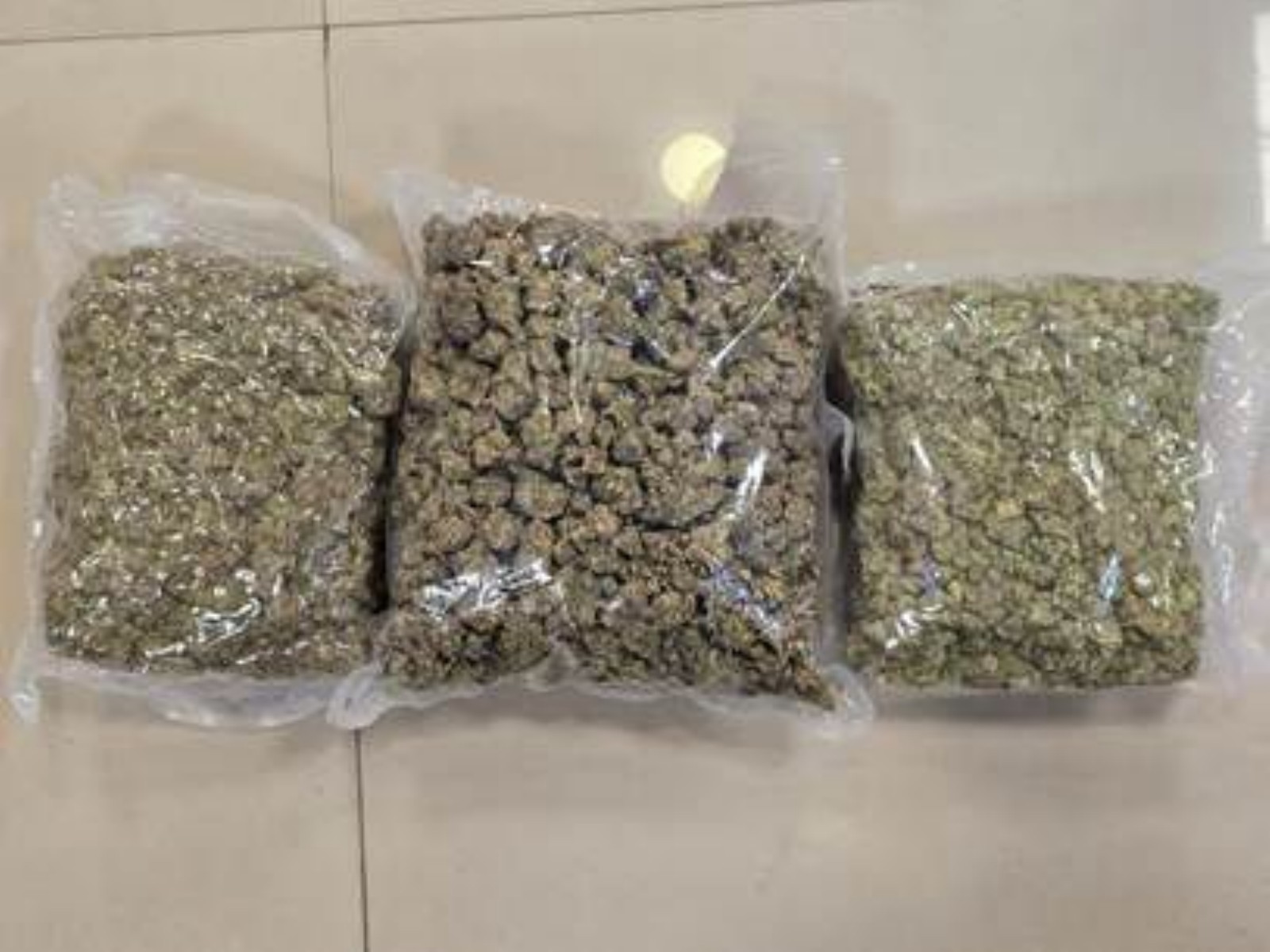 Hydroponic weed seized by DRI Mumbai. (Photo/ANI)