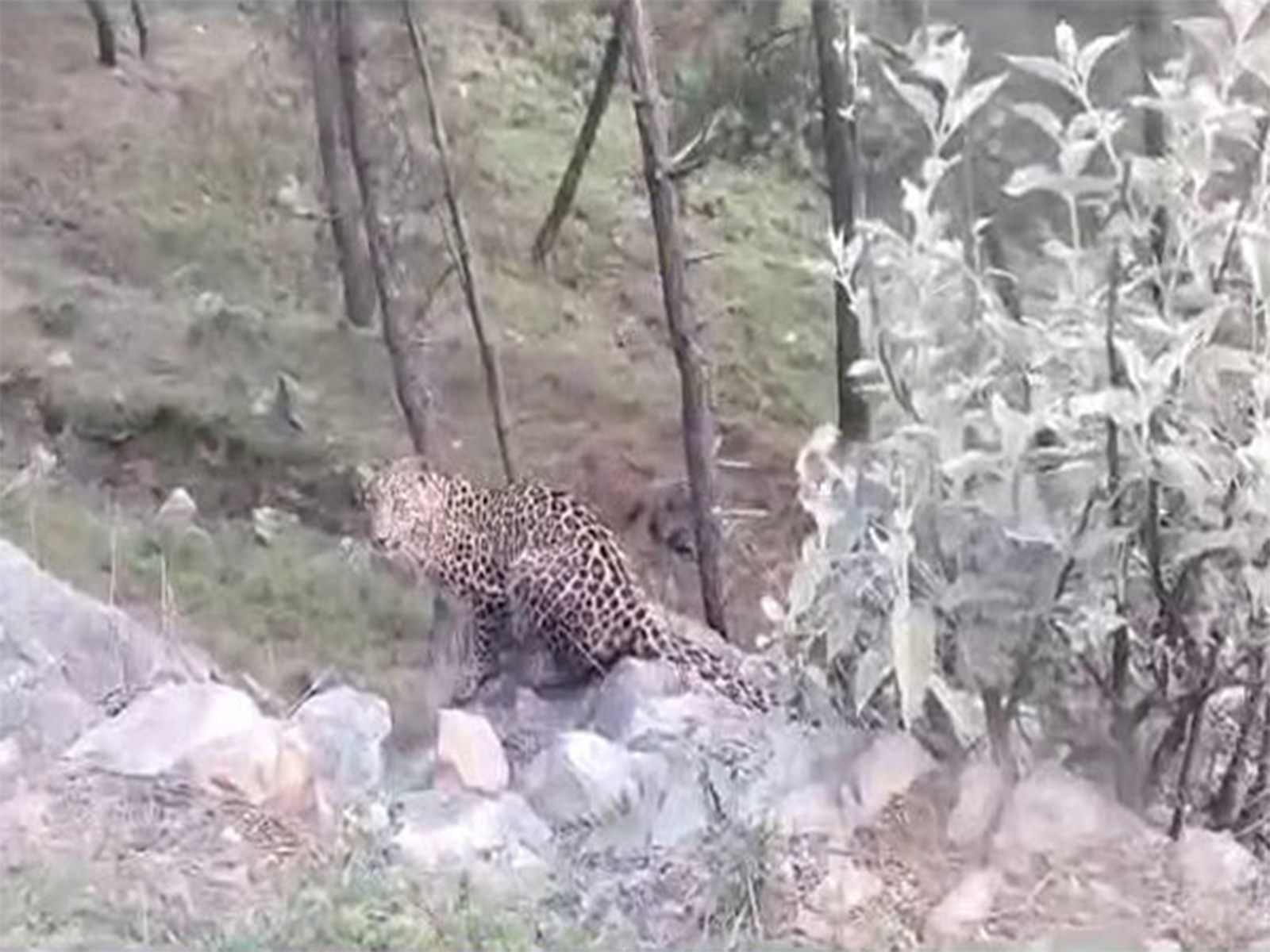 Representative Image (File Photo/ANI) Representative Image (File Photo/ANI)