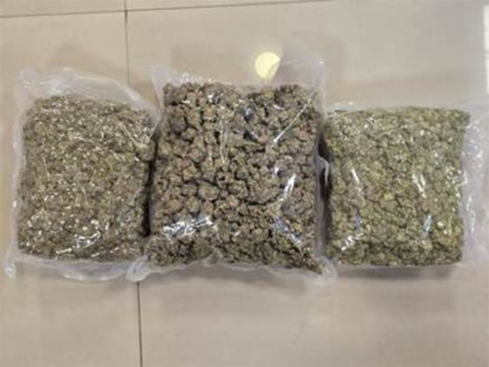 DRI officials seized 42.34 kg of hydroponic weed worth ₹42 crore concealed in food packets at Mumbai Airport (Photo/Ministry of Finance) DRI officials seized 42.34 kg of hydroponic weed worth ₹42 crore concealed in food packets at Mumbai Airport (Photo/Ministry of Finance)