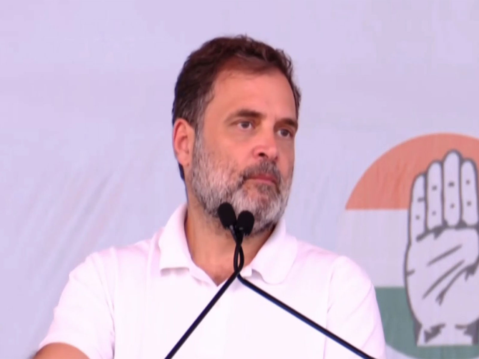 Congress leader Rahul Gandhi (Photo/ANI)