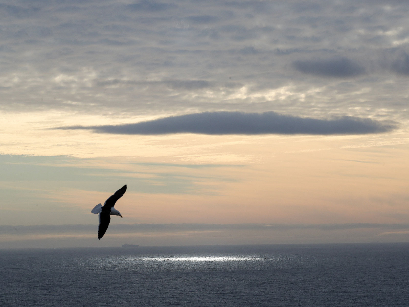 Representational Image (Photo/Reuters)