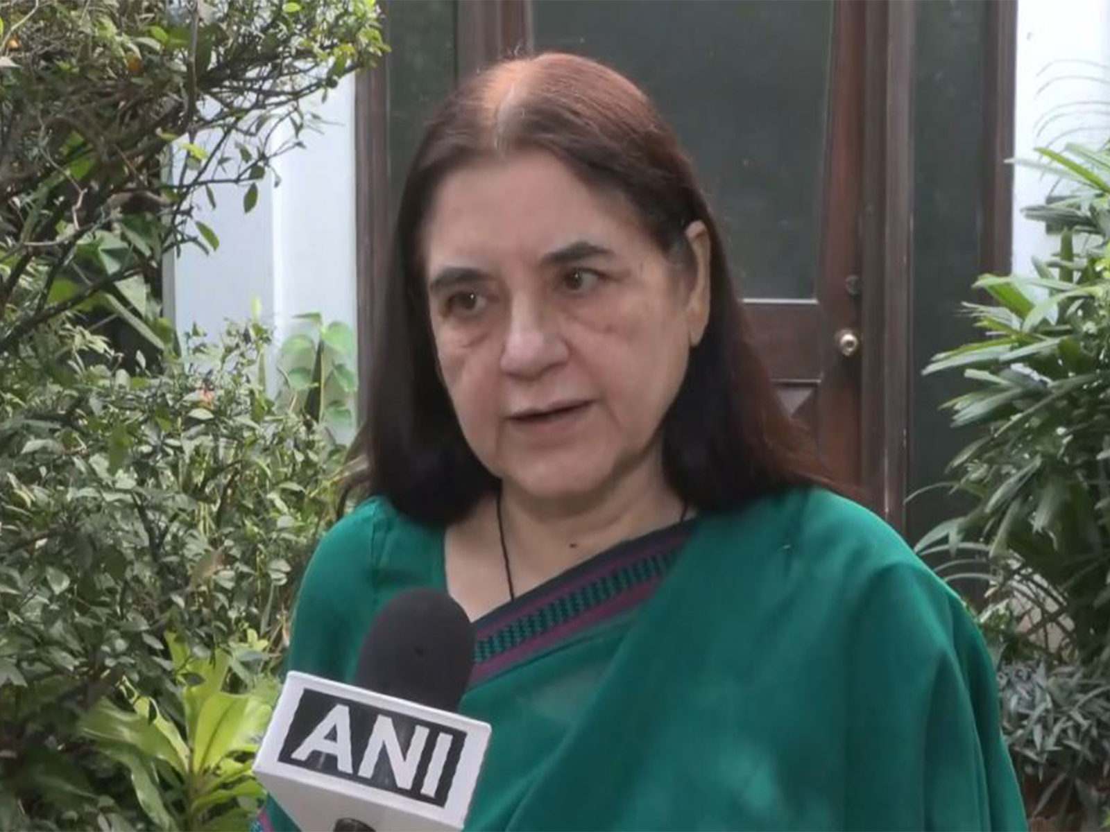 Animal rights activist & BJP leader Maneka Gandhi (Photo/ANI) Animal rights activist & BJP leader Maneka Gandhi (Photo/ANI)