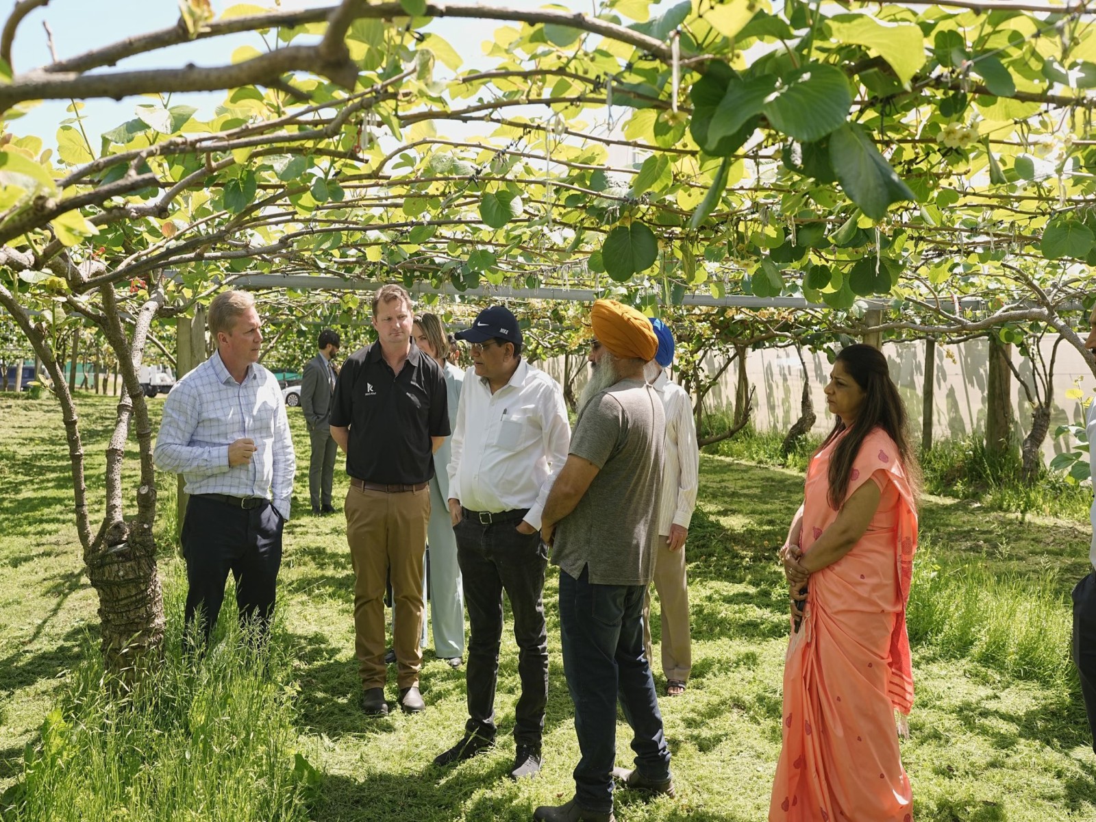 Piyush Goyal visits Te Puke kiwifruit orchad in the Bay of Plenty in New Zealand (Photo:X/@PiyushGoyal) Piyush Goyal visits Te Puke kiwifruit orchad in the Bay of Plenty in New Zealand (Photo:X/@PiyushGoyal)