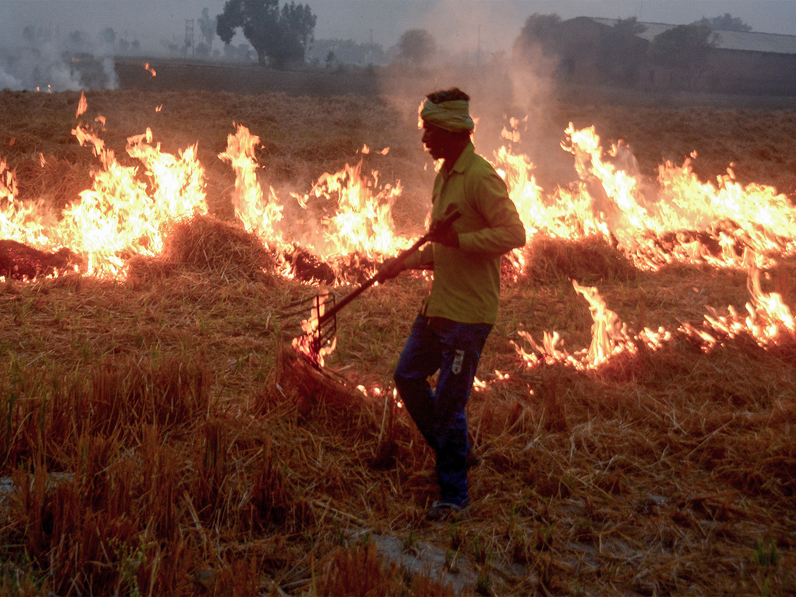 Stubble burning in Patiala on November 3. (Photo/ANI) Stubble burning in Patiala on November 3. (Photo/ANI)