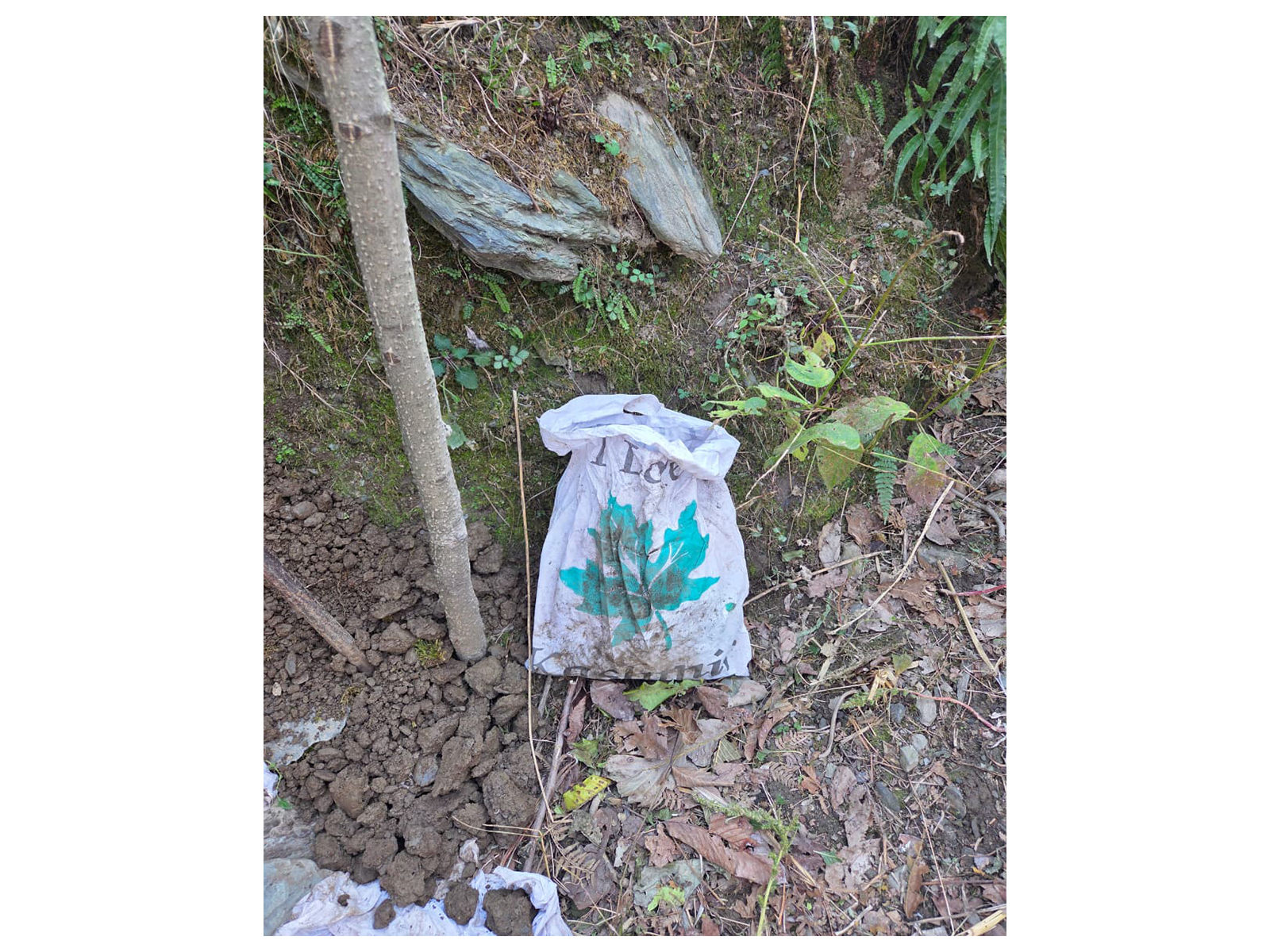 Suspected contraband confiscated during Operation Hajitra (Photo/ANI) Suspected contraband confiscated during Operation Hajitra (Photo/ANI)