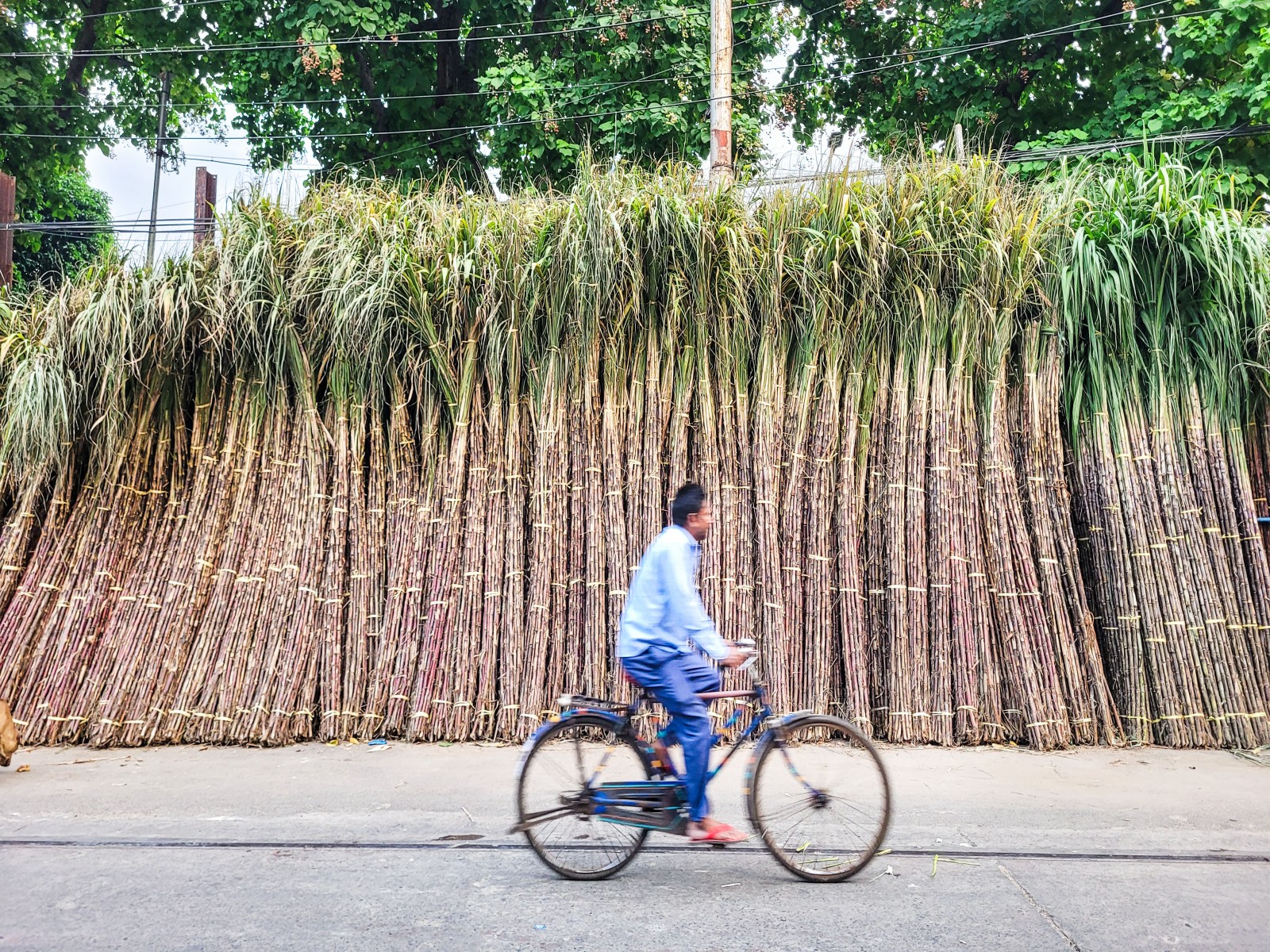 Representative Image (File Photo/ANI) Representative Image (File Photo/ANI)