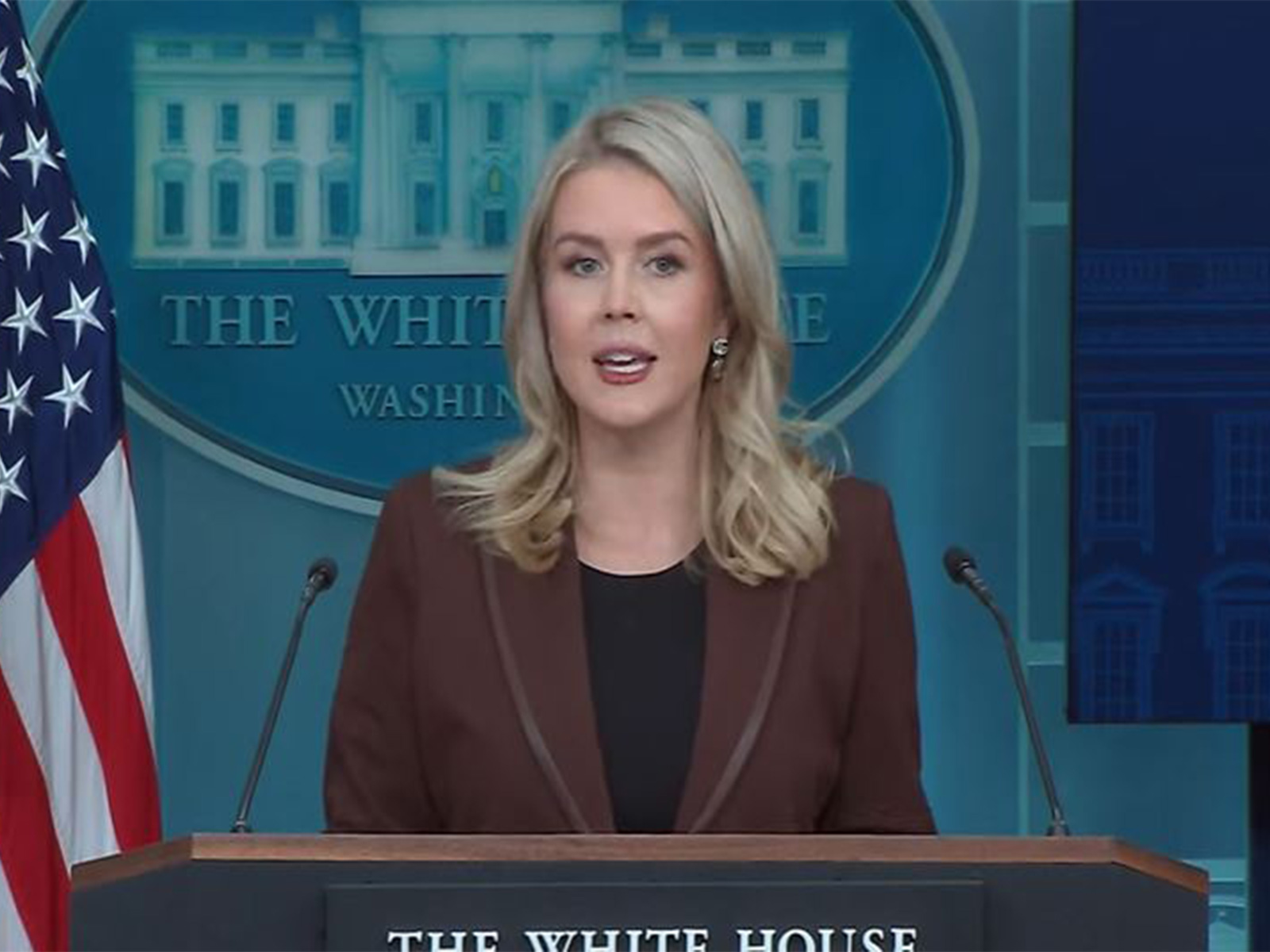 White House Press Secretary Karoline Leavitt (Photo/ White House YouTube)