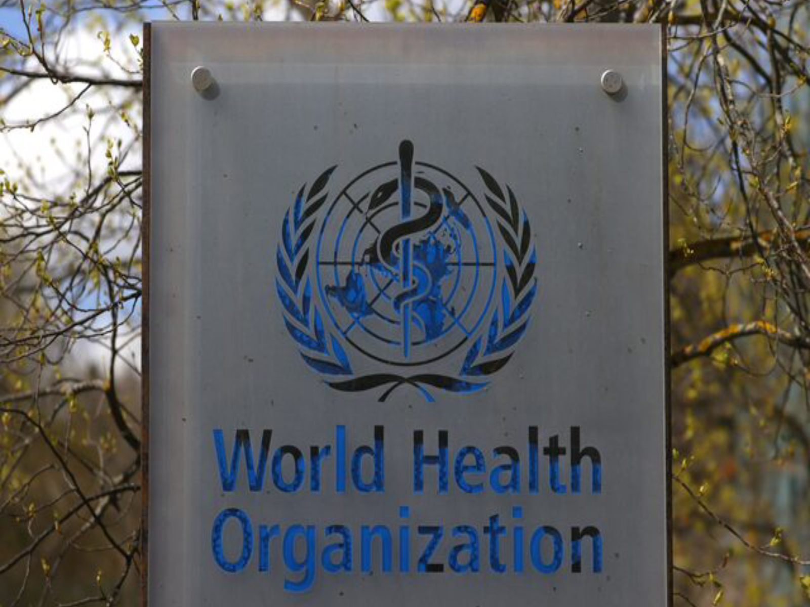 World Health Organization (File Photo/Reuters) World Health Organization (File Photo/Reuters)