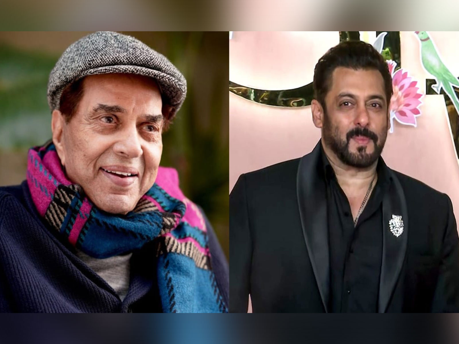 Actor Dharmendra (Photo/instagram/@aapkadharam) Salman Khan (File Photo/ANI) Actor Dharmendra (Photo/instagram/@aapkadharam) Salman Khan (File Photo/ANI)