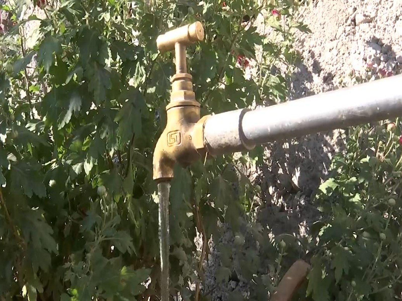 Jal Jeevan Mission implemented in Phalni panchayat (Photo/ANI)