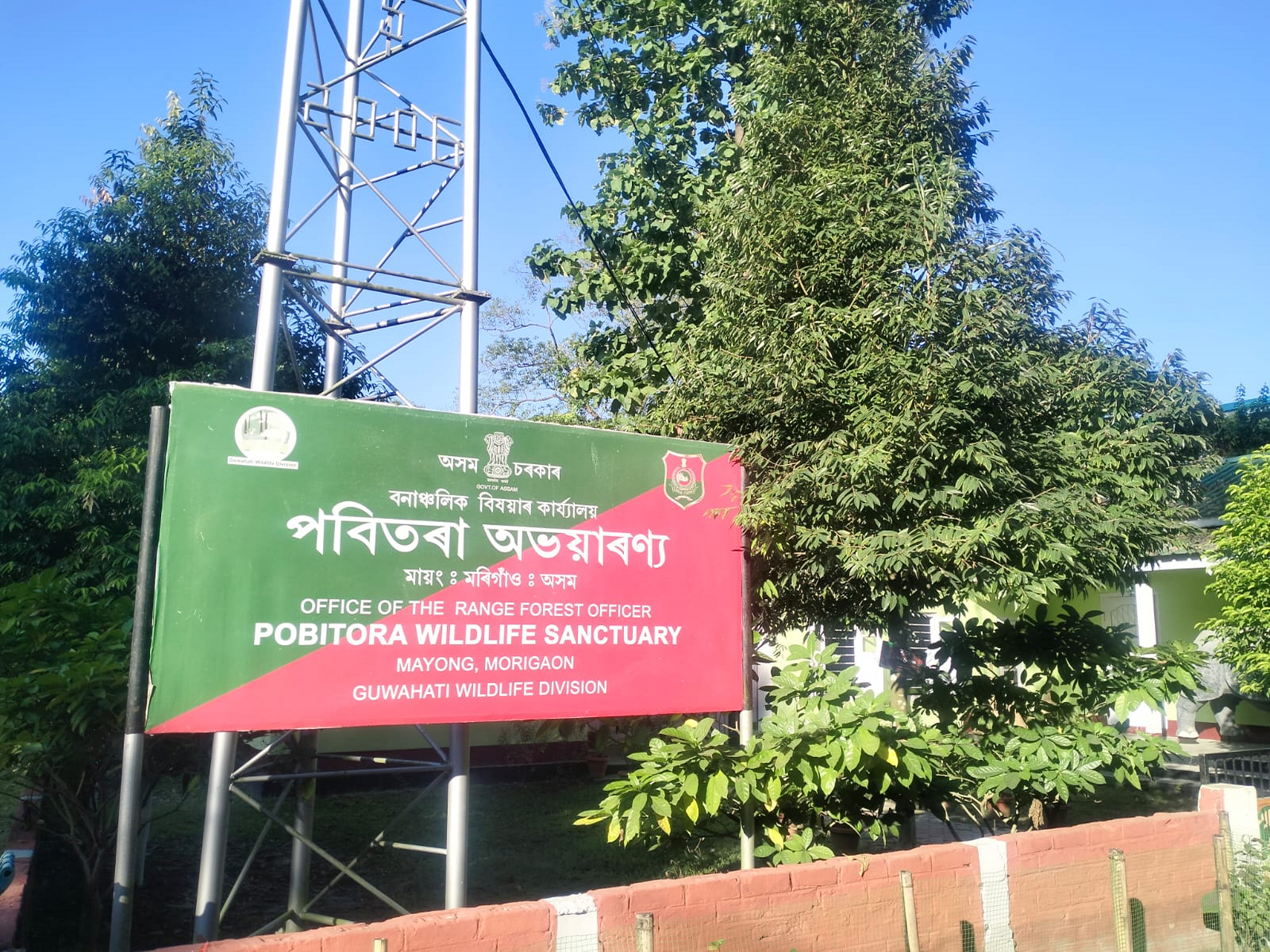 Pobitora Wildlife Sanctuary in Morigaon, Assam (Photo/ANI)