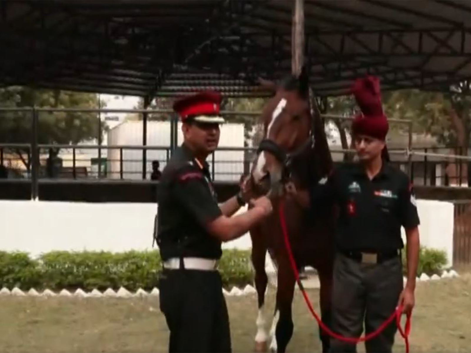 Viraat was the mount of the President's Bodyguard Commandant and took part in 13 Republic Day parades. (Photo/ANI) Viraat was the mount of the President's Bodyguard Commandant and took part in 13 Republic Day parades. (Photo/ANI)
