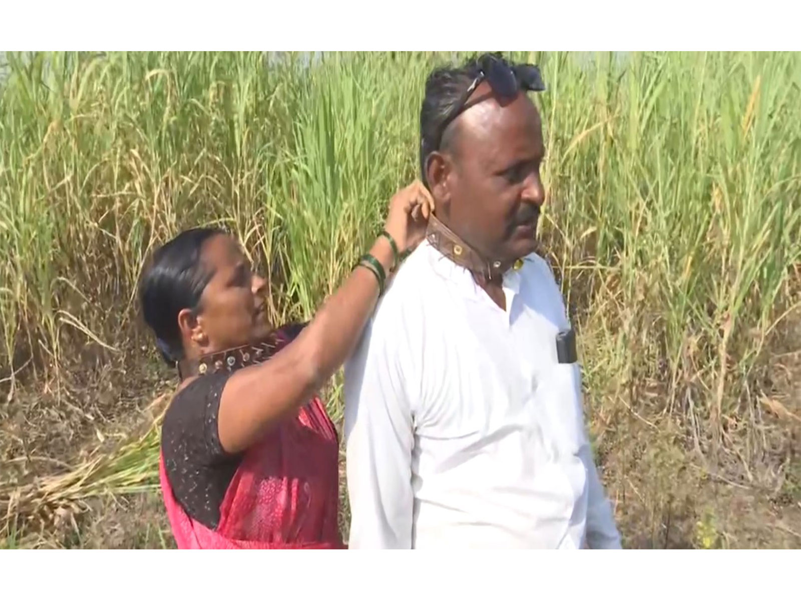 Pimparkhed residents wear spiked collars to protect themselves from leopard attacks (Photo/ANI) Pimparkhed residents wear spiked collars to protect themselves from leopard attacks (Photo/ANI)